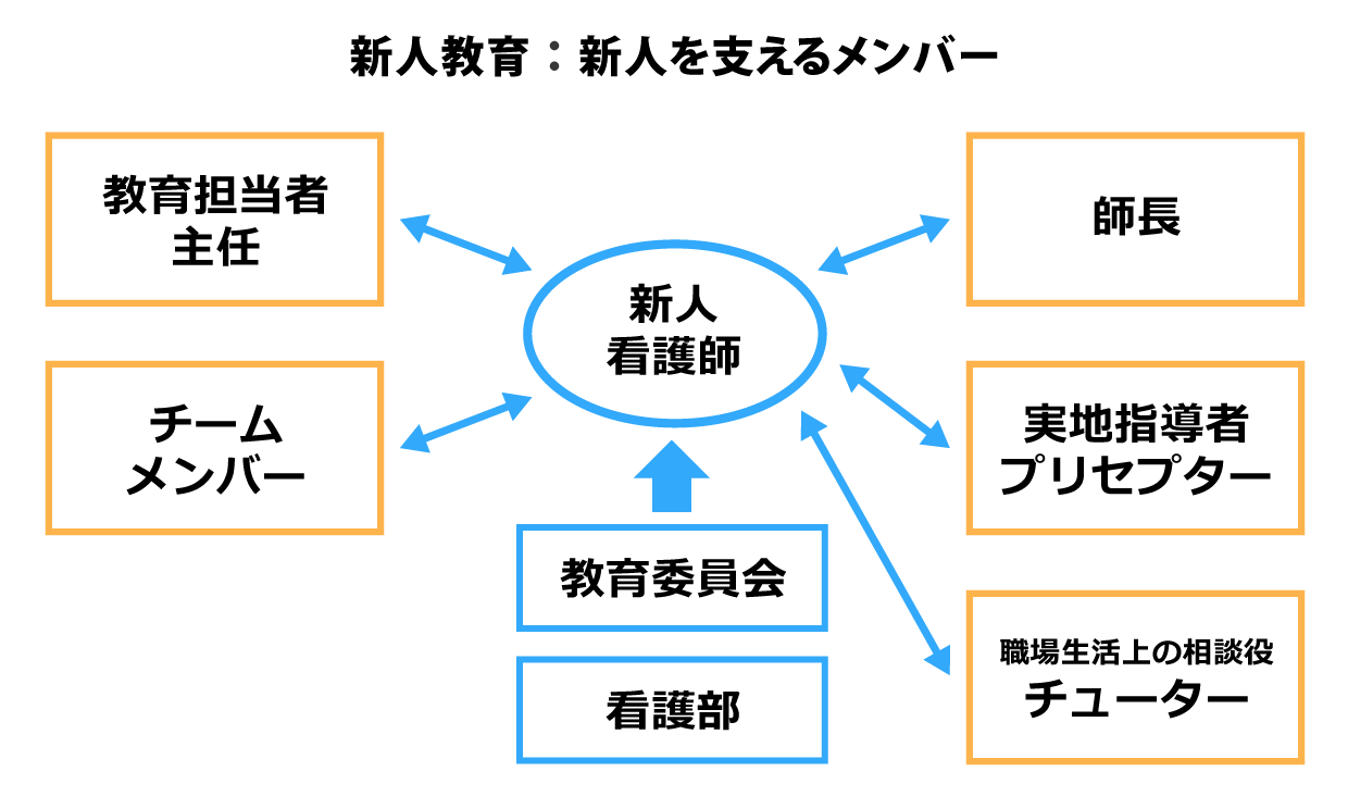 新人教育:新人を支えるメンバー
