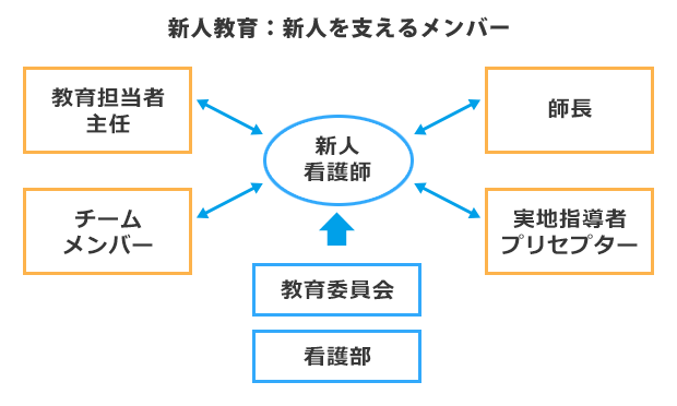 新人教育:新人を支えるメンバー