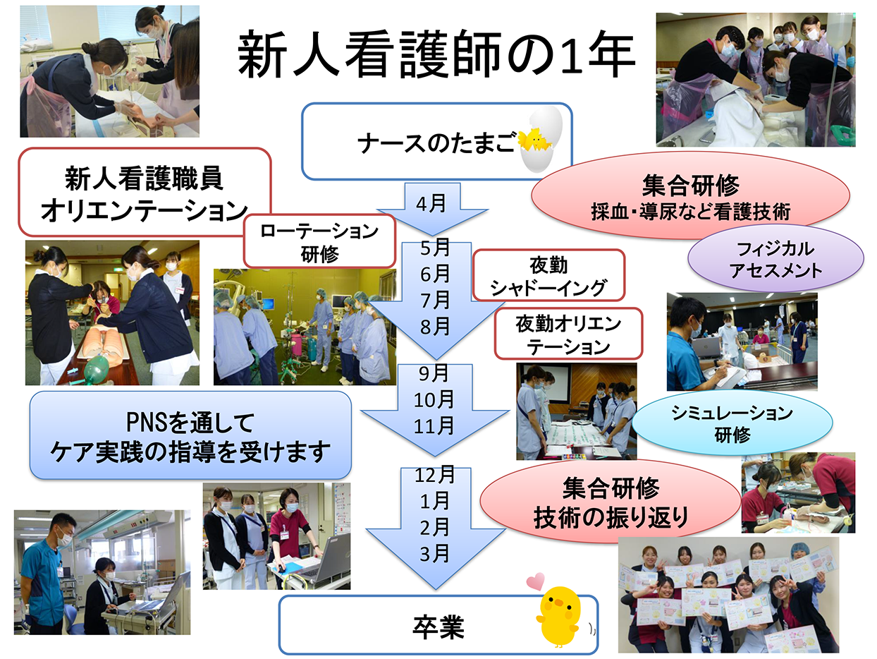 新人看護師の1年